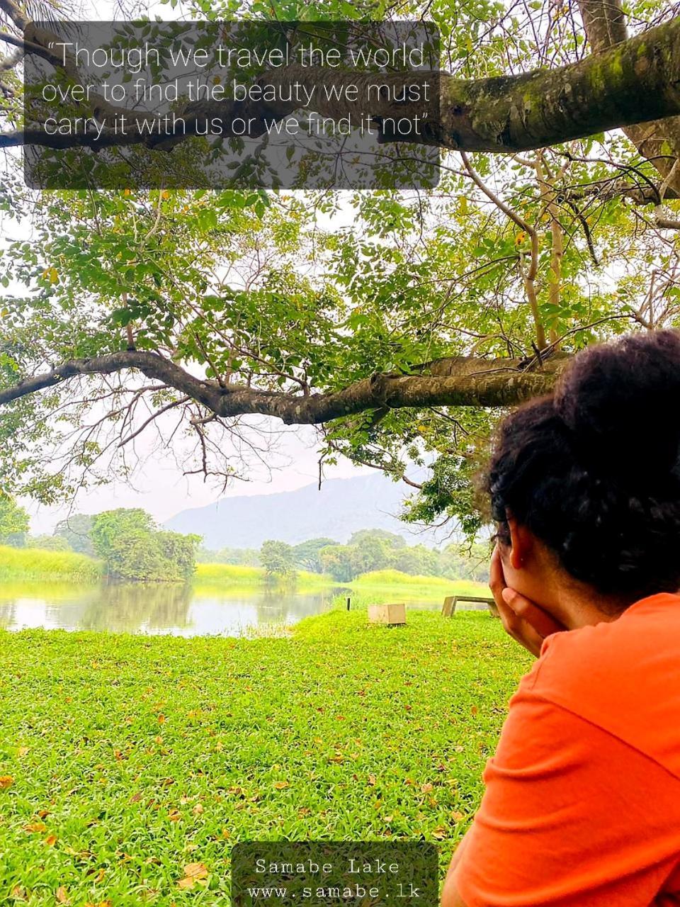 Samabe Lake Dambulla Exteriör bild